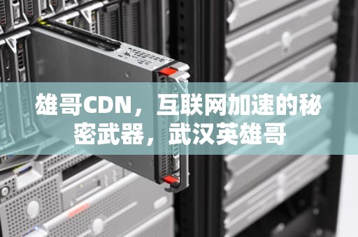 雄哥CDN，互联网加速的秘密武器，武汉英雄哥