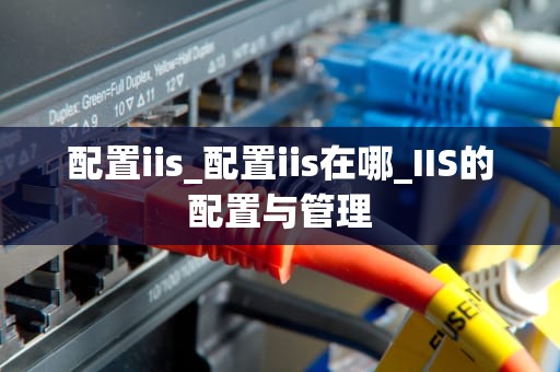 配置iis_配置iis在哪_IIS的配置与管理
