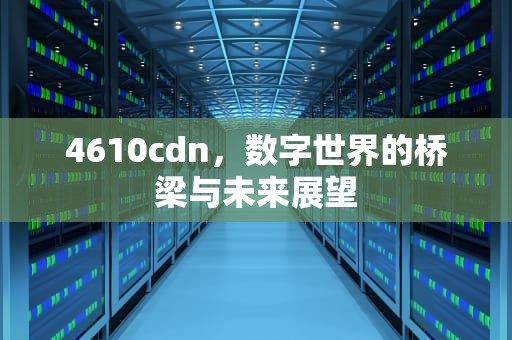 4610cdn，数字世界的桥梁与未来展望
