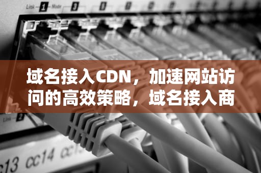 域名接入CDN，加速网站访问的高效策略，域名接入商