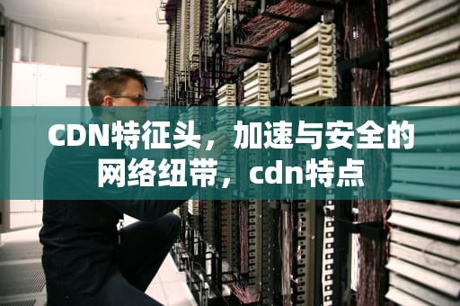 CDN特征头，加速与安全的网络纽带，cdn特点
