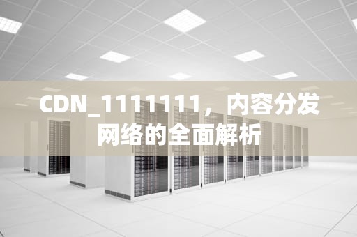 CDN_1111111，内容分发网络的全面解析