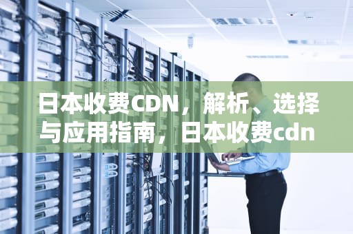 日本收费CDN，解析、选择与应用指南，日本收费cdn