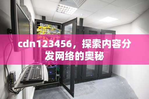 cdn123456，探索内容分发网络的奥秘