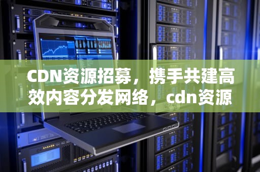 CDN资源招募，携手共建高效内容分发网络，cdn资源包