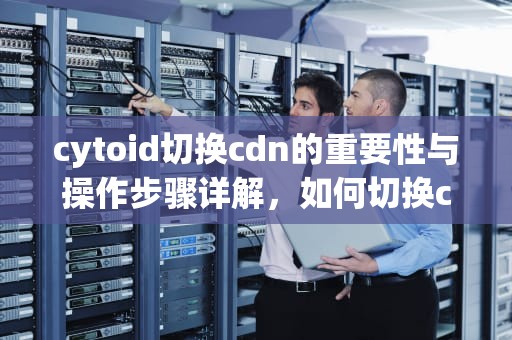 cytoid切换cdn的重要性与操作步骤详解，如何切换cdn