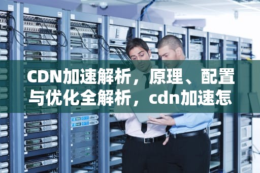 CDN加速解析，原理、配置与优化全解析，cdn加速怎么解析
