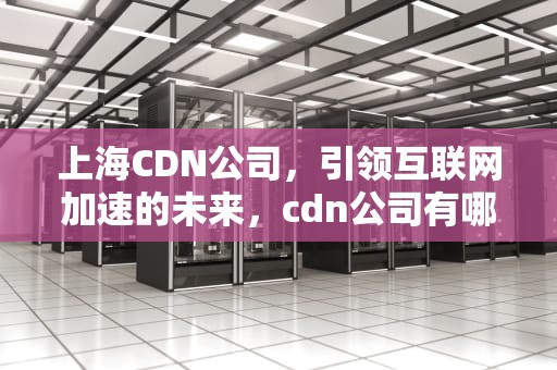 上海CDN公司，引领互联网加速的未来，cdn公司有哪些