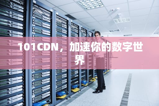 101CDN，加速你的数字世界
