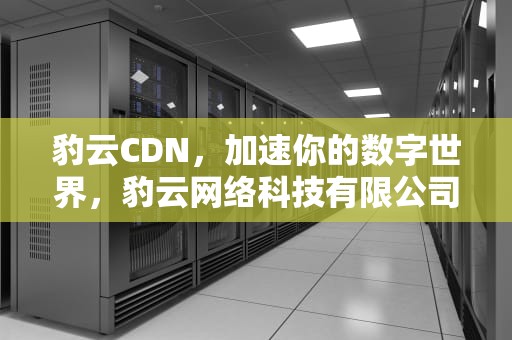 豹云CDN，加速你的数字世界，豹云网络科技有限公司