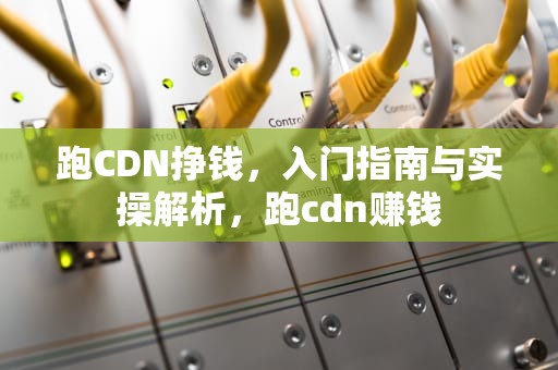 跑CDN挣钱，入门指南与实操解析，跑cdn赚钱