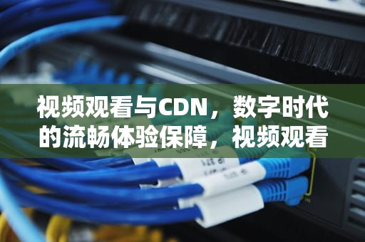 视频观看与CDN，数字时代的流畅体验保障，视频观看量怎么赚钱