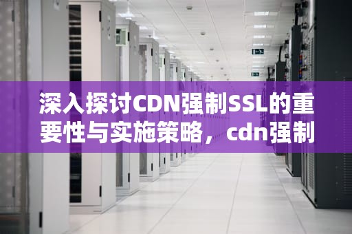 深入探讨CDN强制SSL的重要性与实施策略，cdn强制ssl服务器还需要强制吗