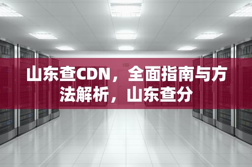山东查CDN，全面指南与方法解析，山东查分