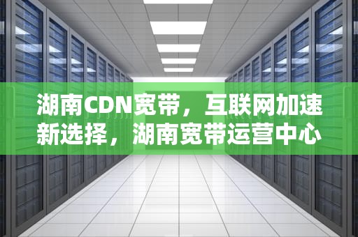 湖南CDN宽带，互联网加速新选择，湖南宽带运营中心