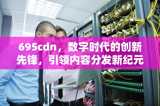 695cdn，数字时代的创新先锋，引领内容分发新纪元