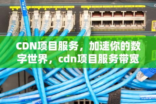 CDN项目服务，加速你的数字世界，cdn项目服务带宽是什么