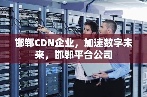 邯郸CDN企业，加速数字未来，邯郸平台公司