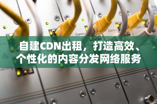 自建CDN出租，打造高效、个性化的内容分发网络服务，自建cdn赚钱
