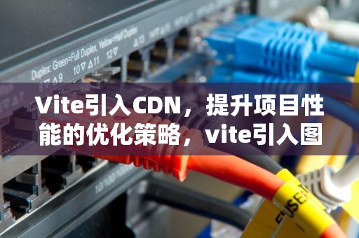 Vite引入CDN，提升项目性能的优化策略，vite引入图片