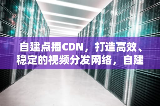 自建点播CDN，打造高效、稳定的视频分发网络，自建点播源
