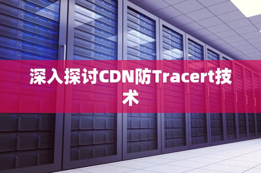 深入探讨CDN防Tracert技术