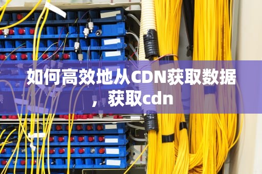 如何高效地从CDN获取数据，获取cdn