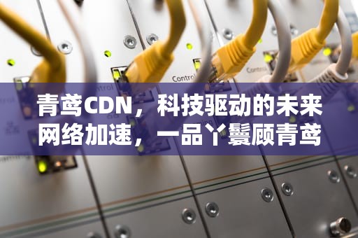 青鸢CDN，科技驱动的未来网络加速，一品丫鬟顾青鸢