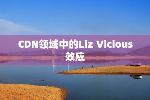 CDN领域中的Liz Vicious效应