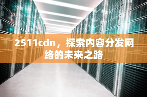 2511cdn，探索内容分发网络的未来之路