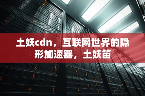 土妖cdn，互联网世界的隐形加速器，土妖笛
