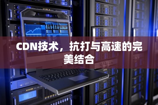 CDN技术，抗打与高速的完美结合
