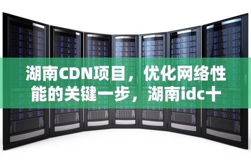 湖南CDN项目，优化网络性能的关键一步，湖南idc十强企业