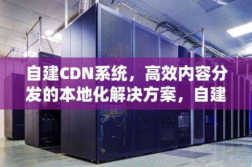 自建CDN系统，高效内容分发的本地化解决方案，自建cdn系统