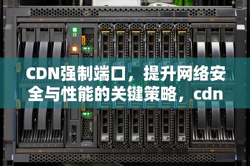 CDN强制端口，提升网络安全与性能的关键策略，cdn如何强制更新