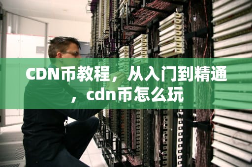 CDN币教程，从入门到精通，cdn币怎么玩