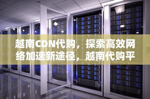 越南CDN代购，探索高效网络加速新途径，越南代购平台
