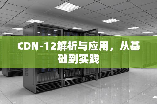 CDN-12解析与应用，从基础到实践