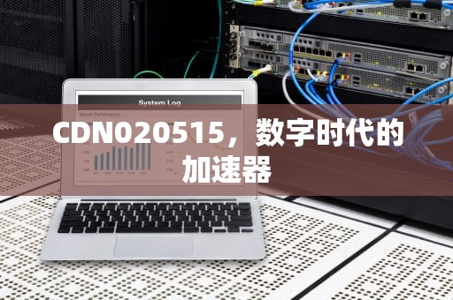 CDN020515，数字时代的加速器