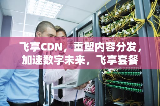 飞享CDN，重塑内容分发，加速数字未来，飞享套餐