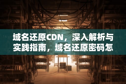 域名还原CDN，深入解析与实践指南，域名还原密码怎么设置