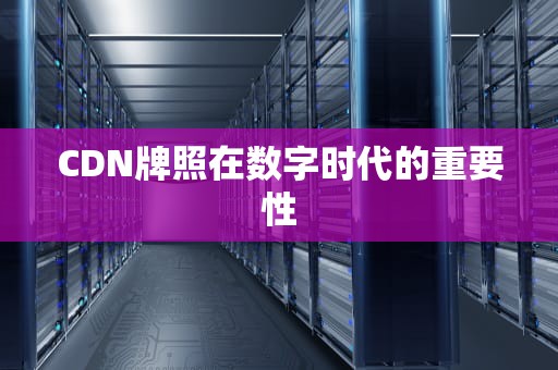 CDN牌照在数字时代的重要性