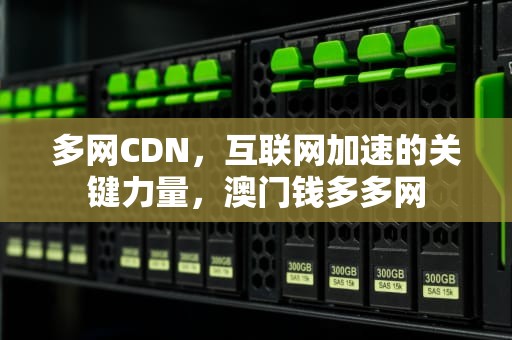多网CDN，互联网加速的关键力量，澳门钱多多网
