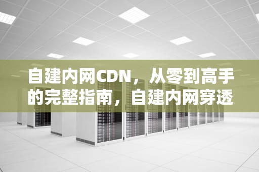 自建内网CDN，从零到高手的完整指南，自建内网穿透服务器