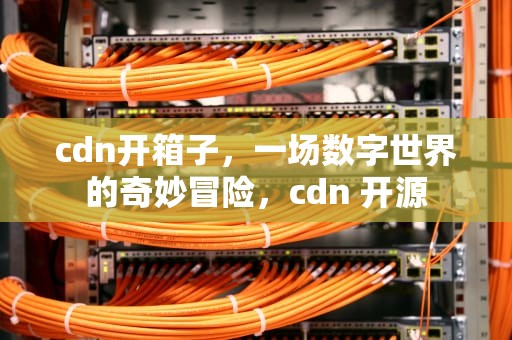 cdn开箱子，一场数字世界的奇妙冒险，cdn 开源