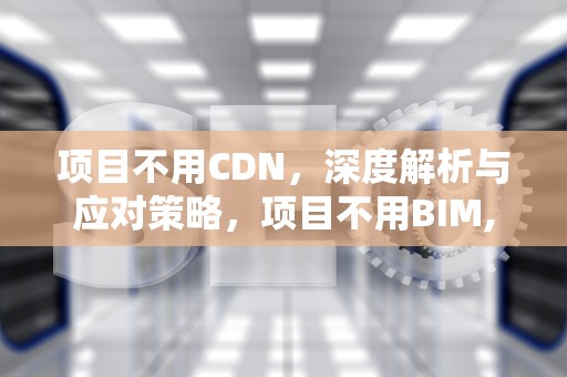 项目不用CDN，深度解析与应对策略，项目不用BIM,自己学了也没用