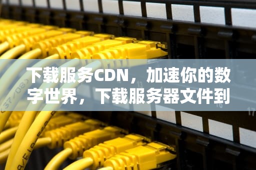 下载服务CDN，加速你的数字世界，下载服务器文件到本地命令