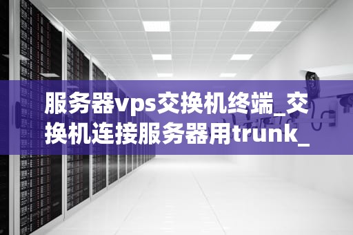 服务器vps交换机终端_交换机连接服务器用trunk_服务器VPS交换机终端的深度解析