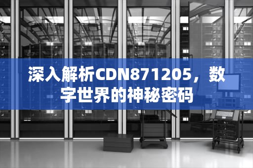 深入解析CDN871205，数字世界的神秘密码
