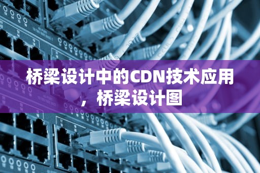 桥梁设计中的CDN技术应用，桥梁设计图
